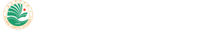 2026美加墨世界杯官方网